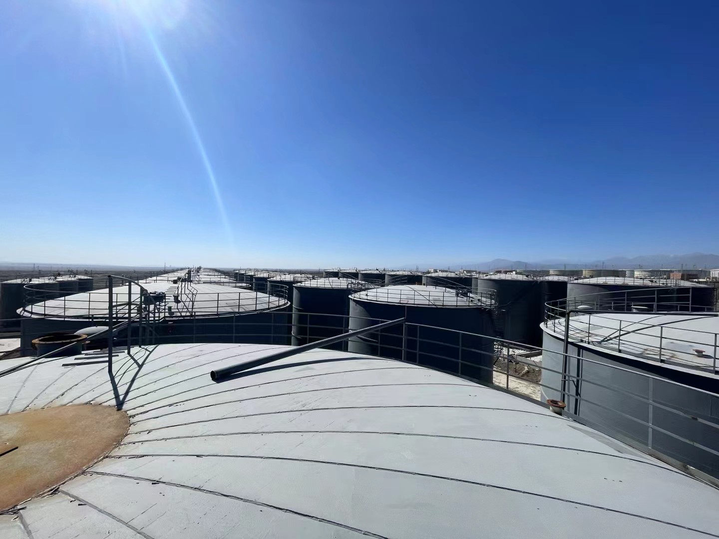 Innovation Capability of Biao Wang: Analysis of Patent Technology Conversion Rate